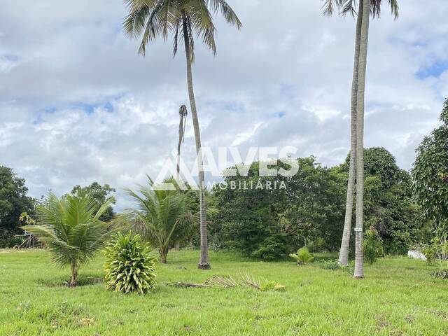 COMERCIAL para Compra em Feira de Santana - 5