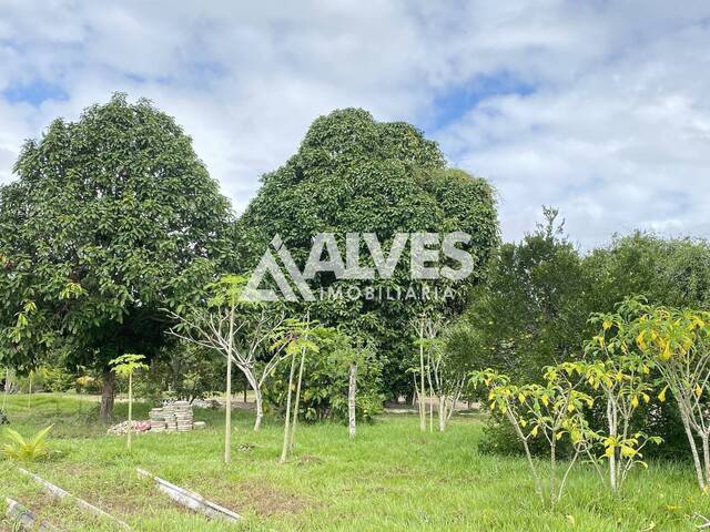 #6004 - TERRENO para Compra em Feira de Santana - BA