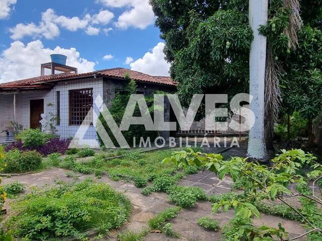 CASA para Compra em Feira de Santana - 3