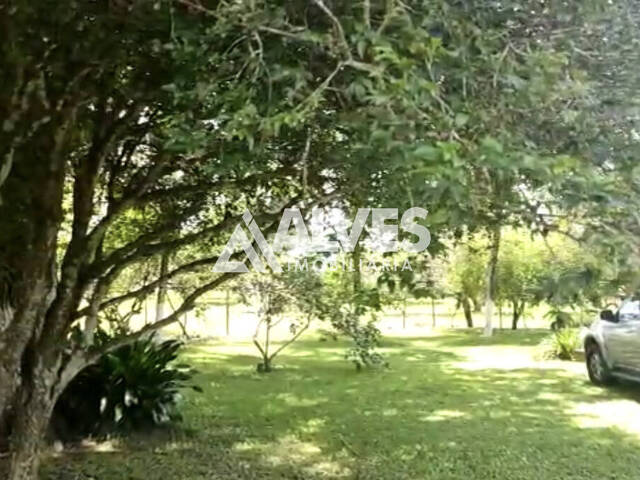 #6423 - FAZENDA para Compra em Serra Preta - BA