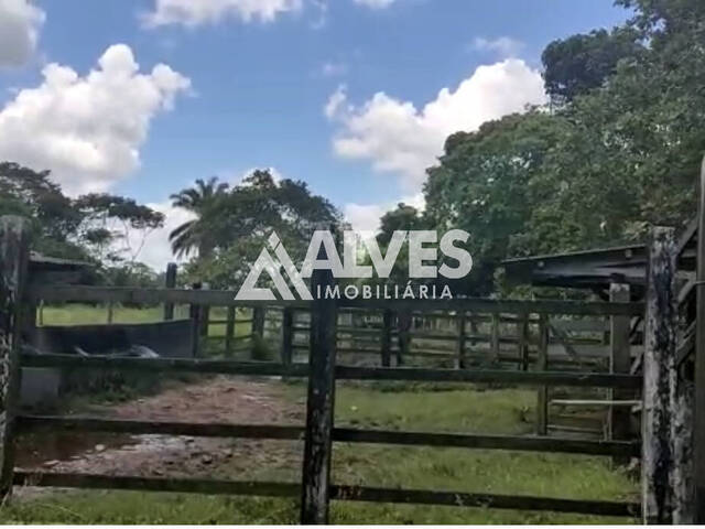 #6423 - FAZENDA para Compra em Serra Preta - BA