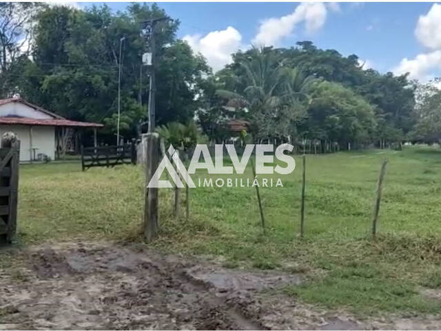 FAZENDA para Compra em Serra Preta - 4
