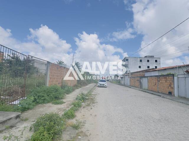 #6832 - ÁREA-TERRENO-LOTE para Compra em Feira de Santana - BA - 3