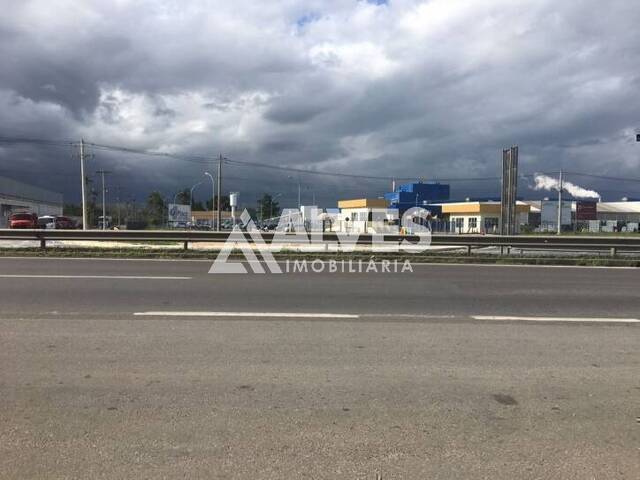 #6853 - ÁREA-TERRENO-LOTE para Compra em Feira de Santana - BA - 1