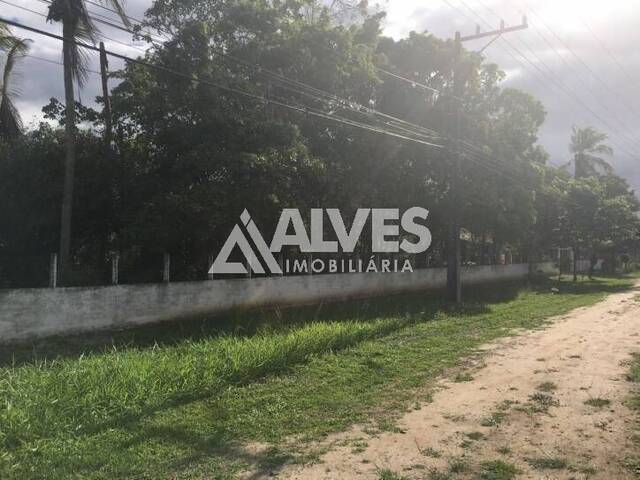 #6853 - ÁREA-TERRENO-LOTE para Compra em Feira de Santana - BA - 3