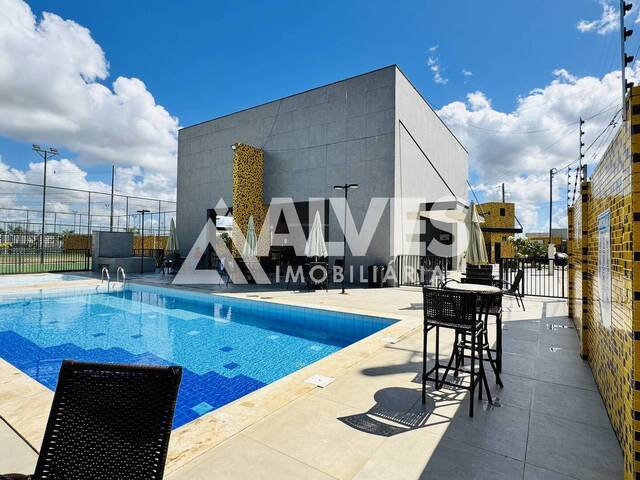 Compra em Papagaio - Feira de Santana