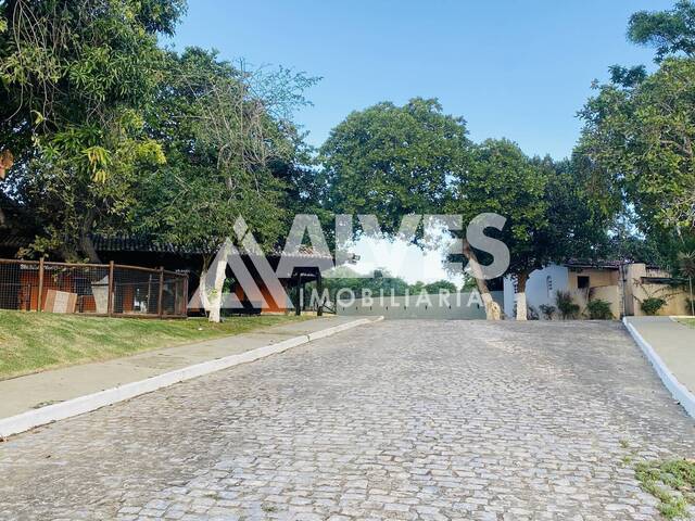 CHÁCARA E SÍTIO para Compra em Feira de Santana - 4