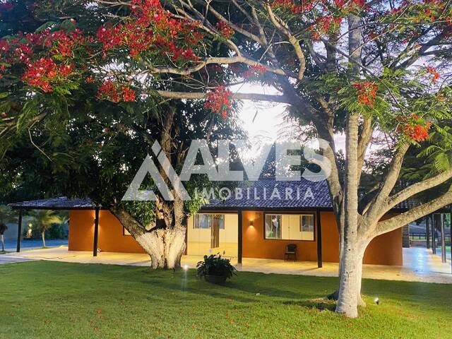 #6912 - CHÁCARA E SÍTIO para Compra em Feira de Santana - BA