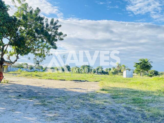 ÁREA-TERRENO-LOTE para Compra em Feira de Santana - 2