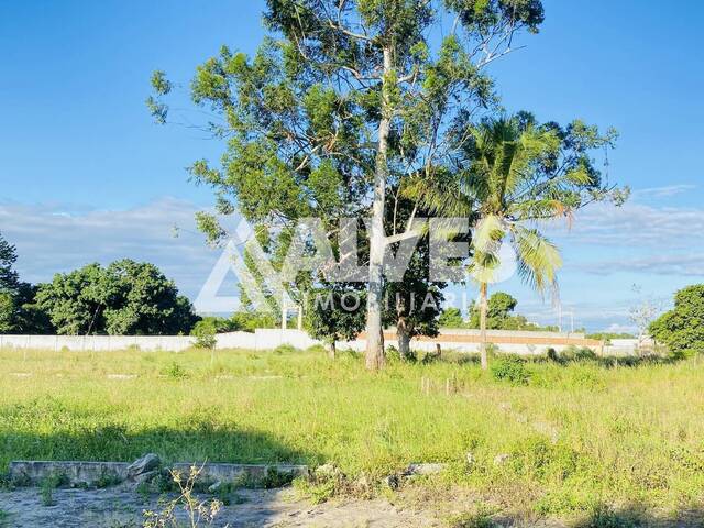 ÁREA-TERRENO-LOTE para Compra em Feira de Santana - 3