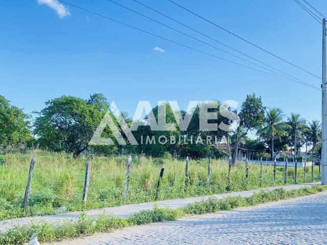 Compra em Asa Branca - Feira de Santana