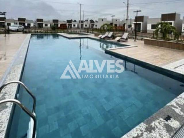 Compra em Papagaio - Feira de Santana