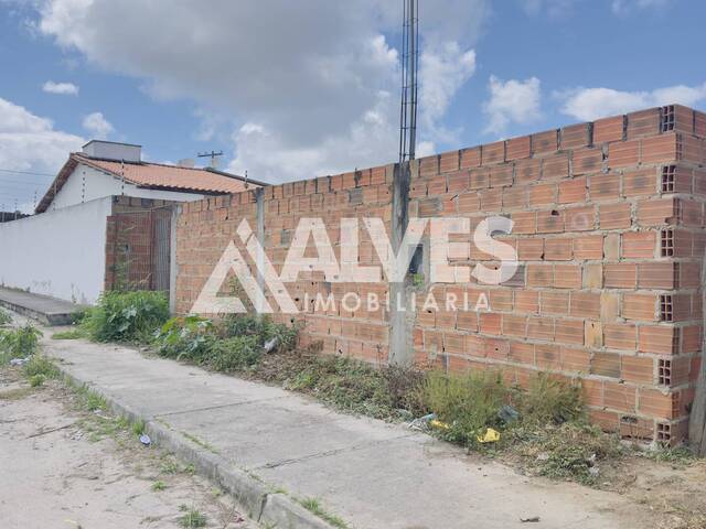 Compra em Papagaio - Feira de Santana