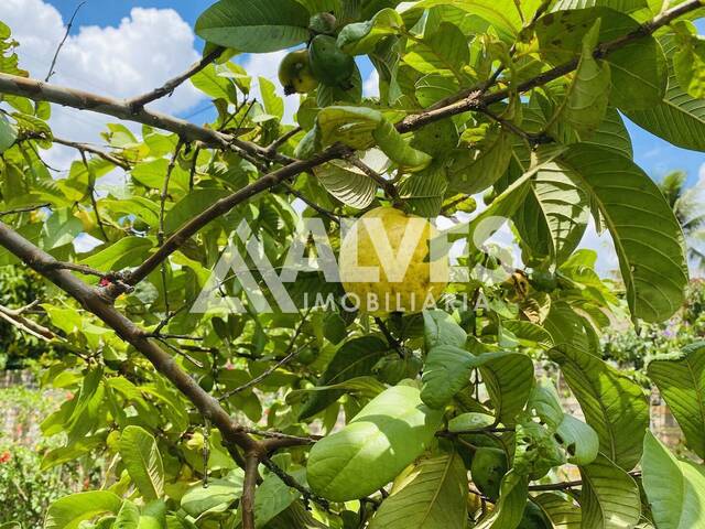 ÁREA-TERRENO-LOTE para Compra em Feira de Santana - 5