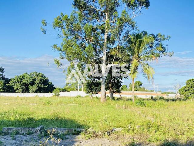 #3538 - TERRENO para Compra em Feira de Santana - BA