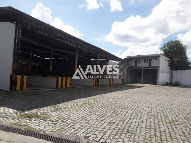 GALPÃO para Compra em Serrinha - 4