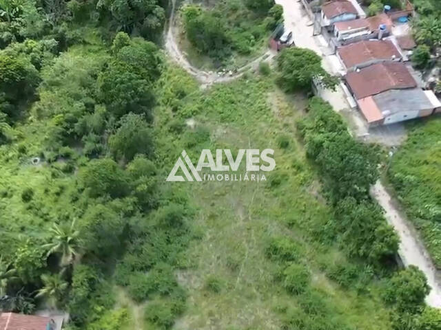 #5463 - TERRENO para Compra em Amélia Rodrigues - BA
