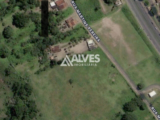 TERRENO para Compra em Amélia Rodrigues - 4