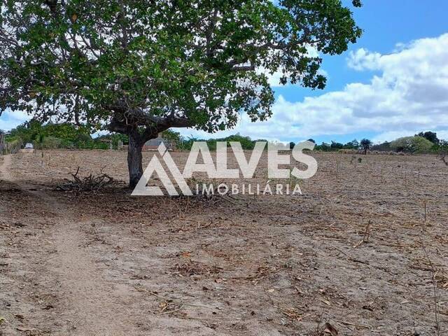 TERRENO para Compra em Santa Bárbara - 4