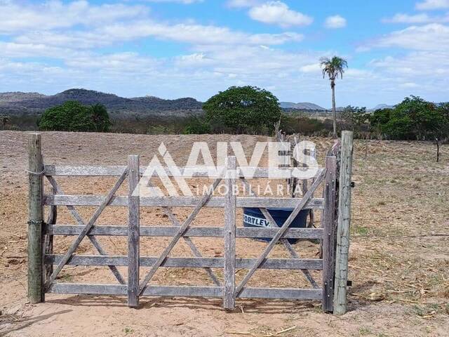 #6076 - TERRENO para Compra em Santa Bárbara - BA