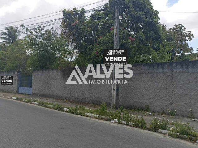 #6091 - COMERCIAL para Compra em Feira de Santana - BA