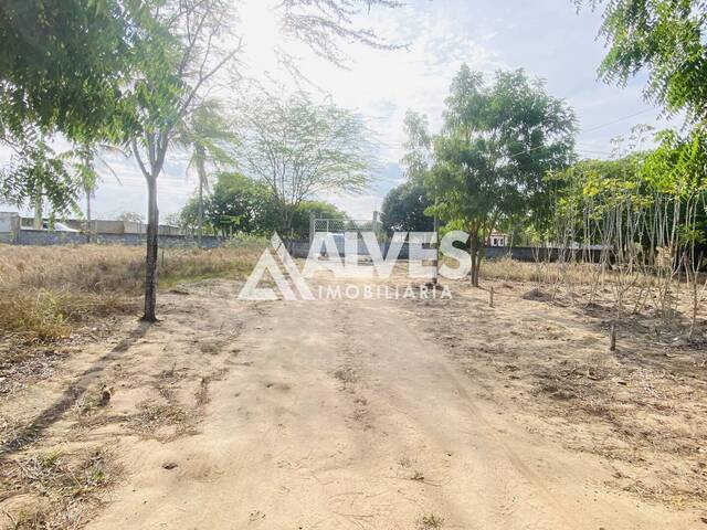 TERRENO para Compra em Feira de Santana - 5