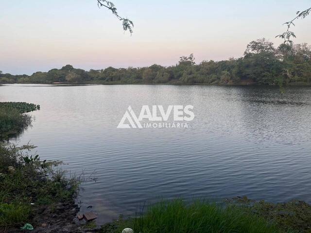 #6435 - FAZENDA para Compra em Itaberaba - BA