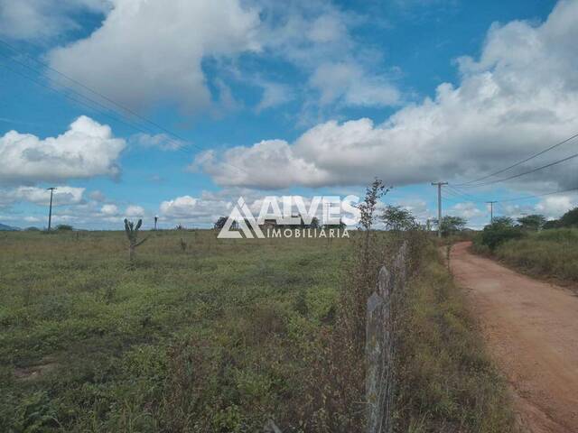 #6435 - FAZENDA para Compra em Itaberaba - BA