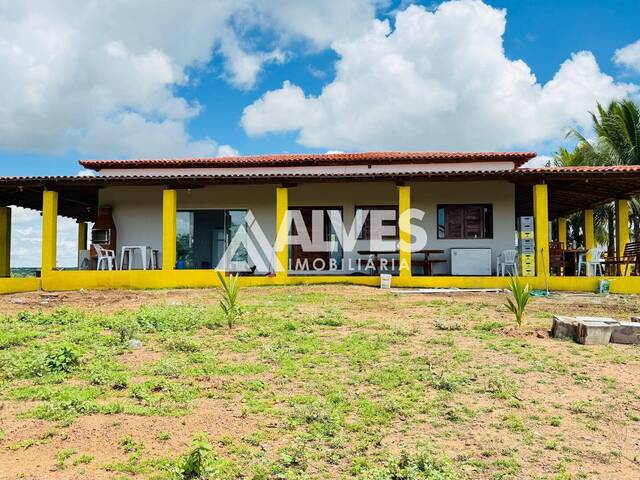 #6475 - FAZENDA para Compra em Rafael Jambeiro - BA