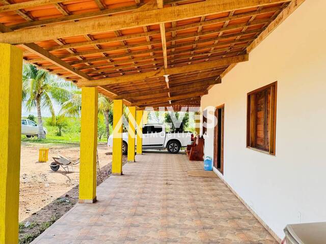 FAZENDA para Compra em Rafael Jambeiro - 4