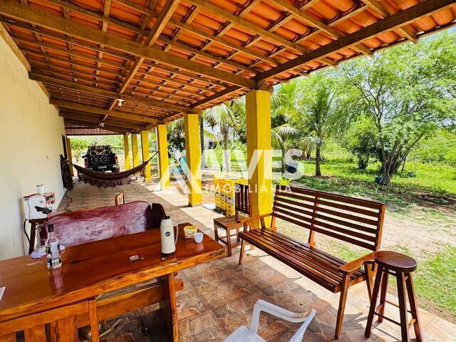 #6475 - FAZENDA para Compra em Rafael Jambeiro - BA