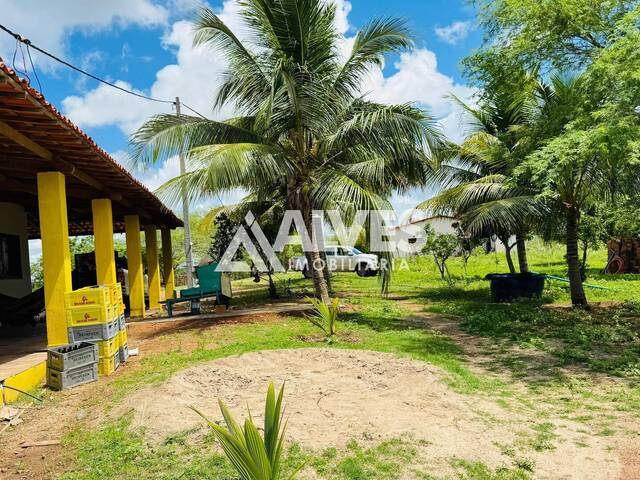FAZENDA para Compra em Rafael Jambeiro - 5