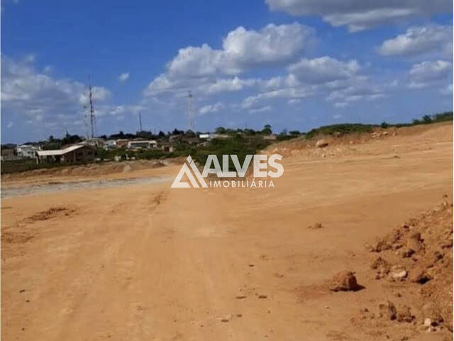 TERRENO para Compra em Santa Bárbara - 5
