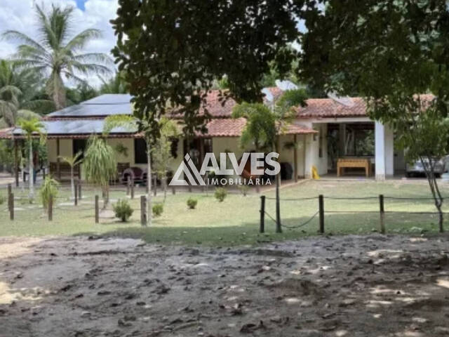 CHÁCARA E SÍTIO para Compra em Alagoinhas - 5