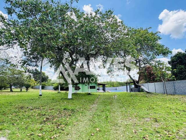 CHÁCARA E SÍTIO para Compra em Conceição do Jacuípe - 5