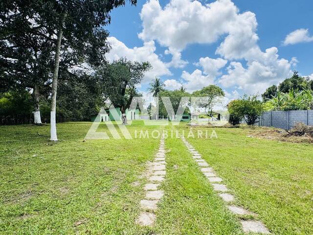 CHÁCARA E SÍTIO para Compra em Conceição do Jacuípe - 4