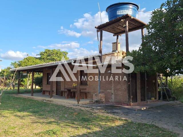 #6883 - CHÁCARA E SÍTIO para Compra em Coração de Maria - BA