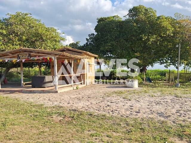 CHÁCARA E SÍTIO para Compra em Coração de Maria - 5