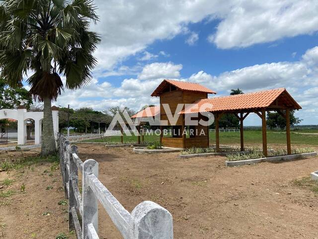 ÁREA-TERRENO-LOTE para Compra em Coração de Maria - 3