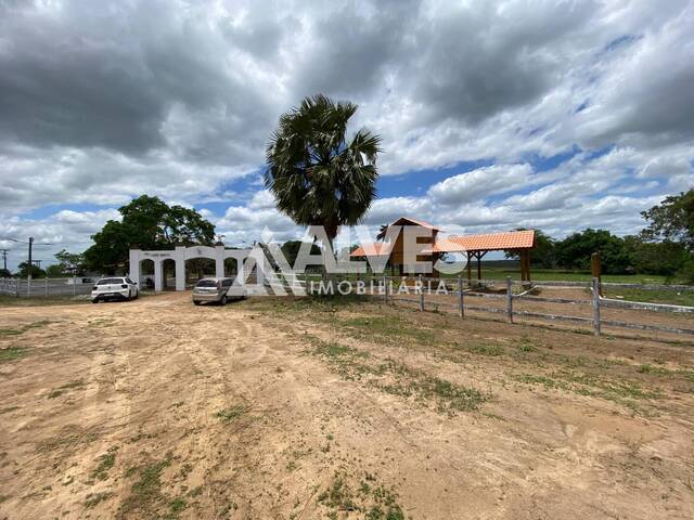 ÁREA-TERRENO-LOTE para Compra em Coração de Maria - 5