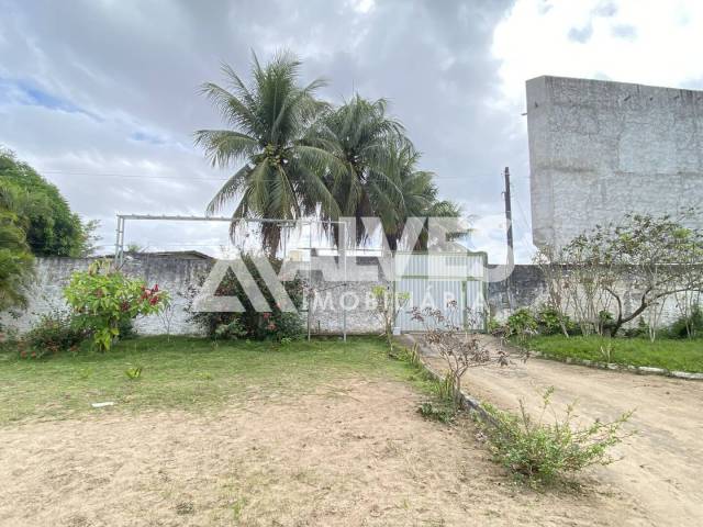ÁREA-TERRENO-LOTE para Compra em Feira de Santana - 3