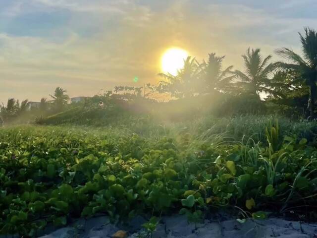 #7084 - CASA EM CONDOMÍNIO para Compra em Itaparica - BA