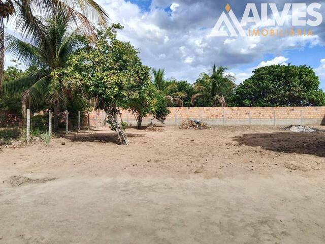 CHÁCARA E SÍTIO para Compra em Feira de Santana - 4