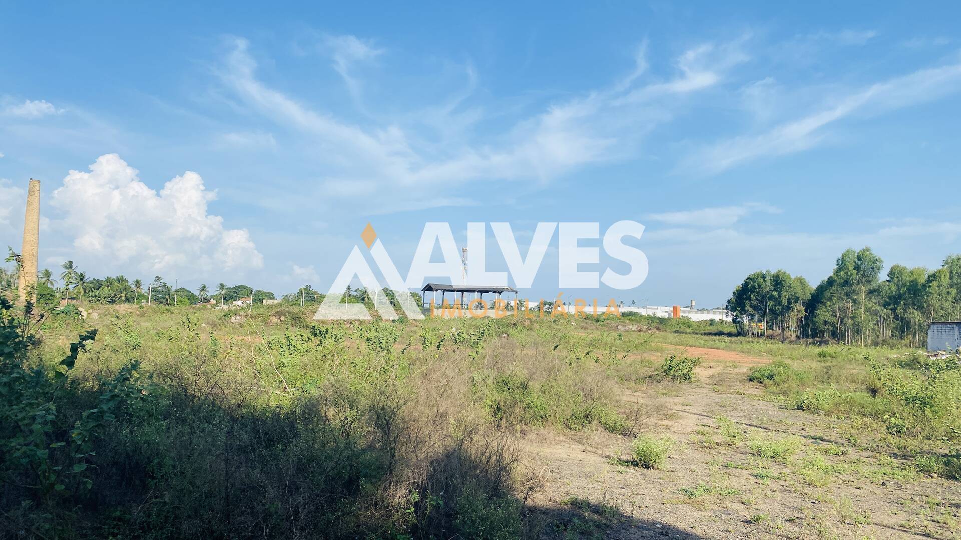 Terreno, 6 hectares - Foto 3