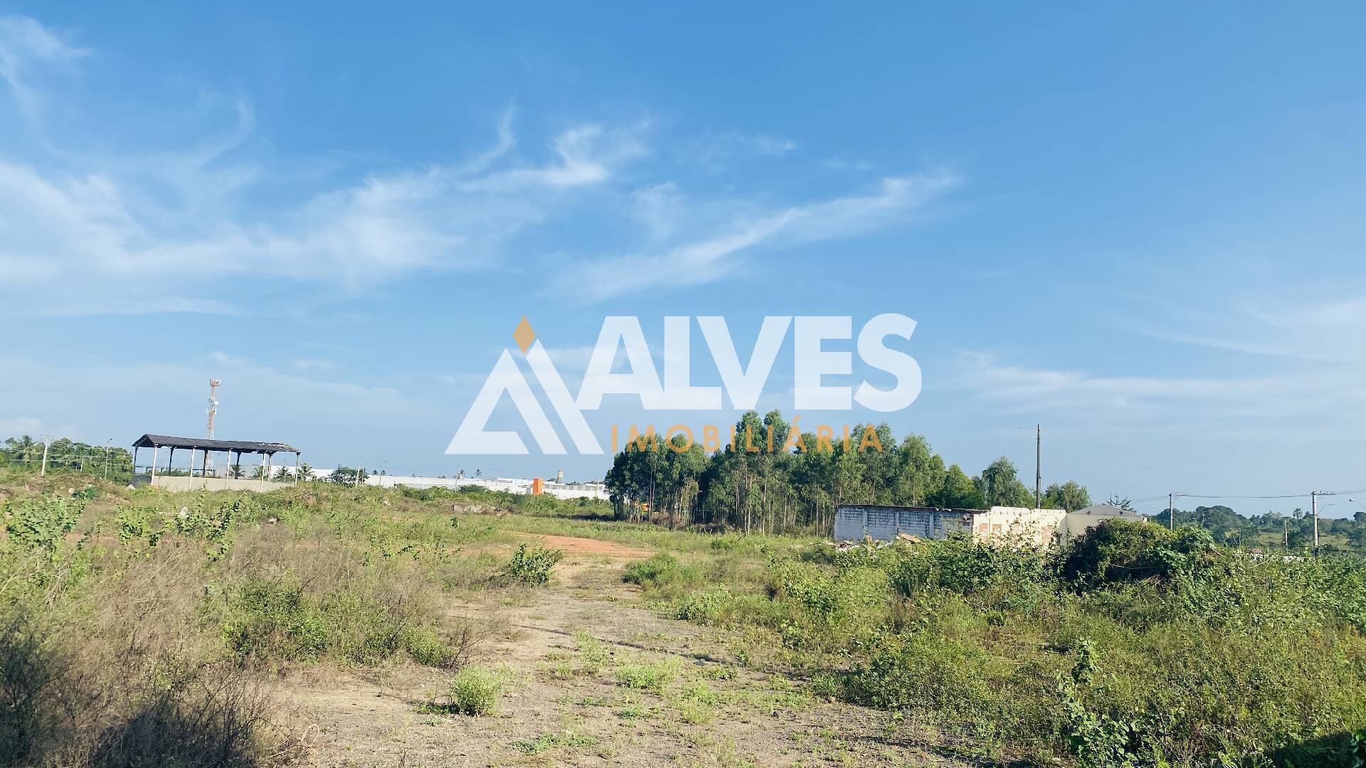 Terreno, 6 hectares - Foto 4