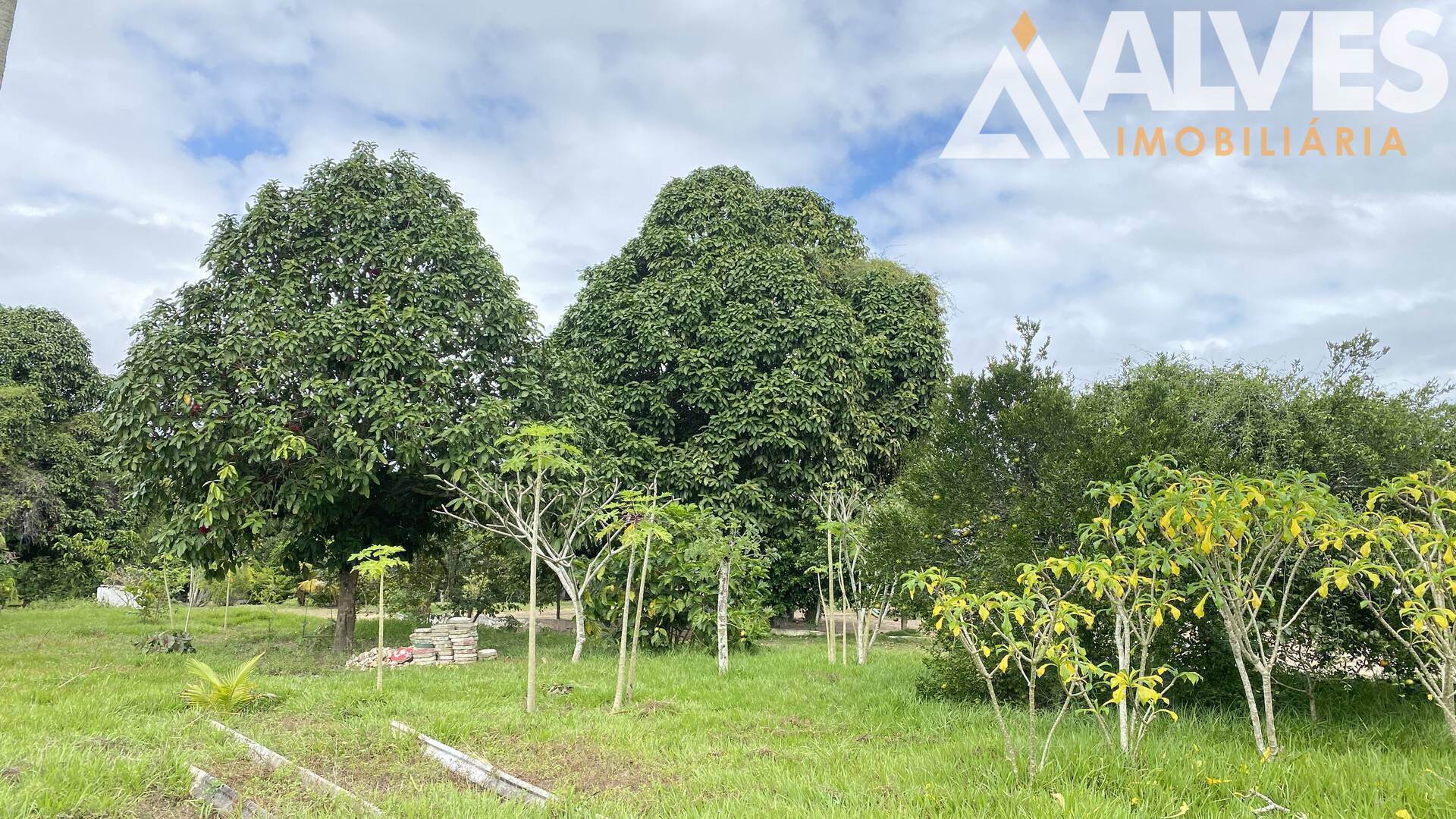 Terreno, 2 hectares - Foto 3