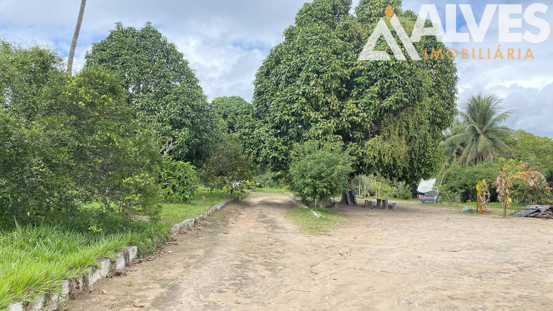 Terreno, 2 hectares - Foto 7