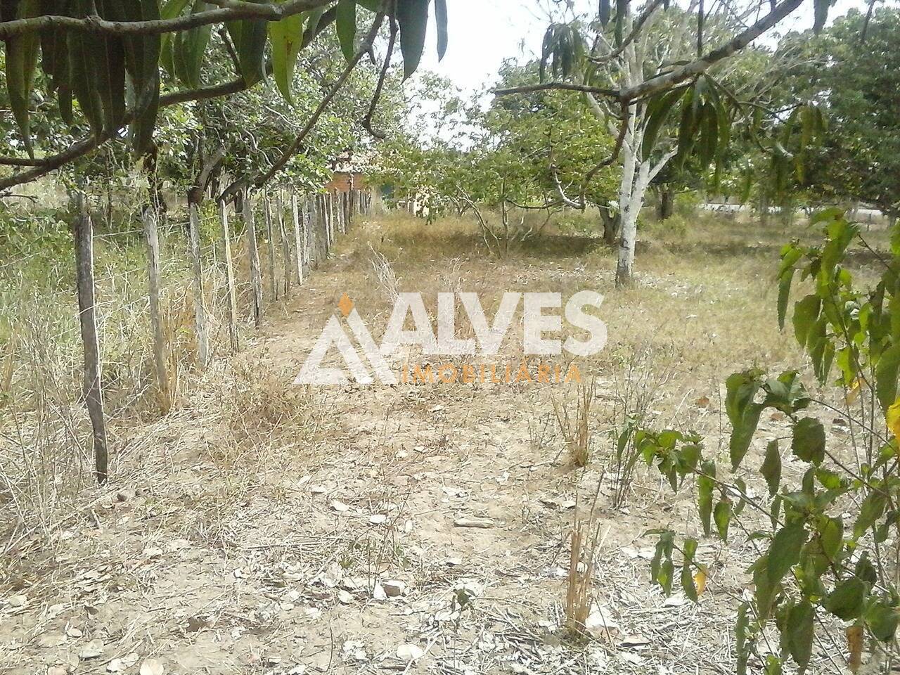 Terreno, 10000 m² - Foto 4