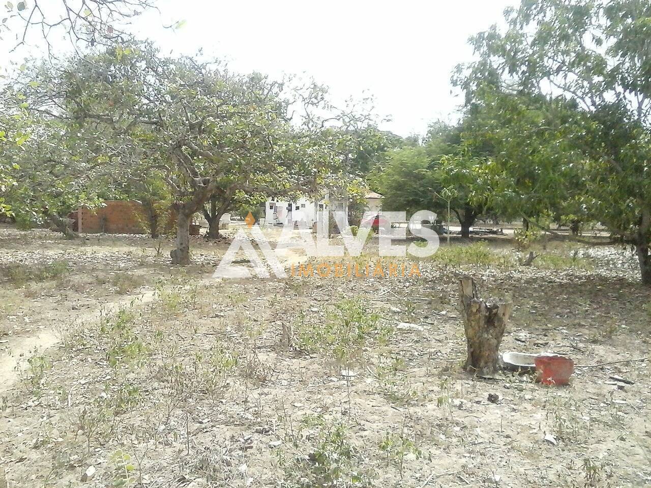 Terreno, 10000 m² - Foto 3