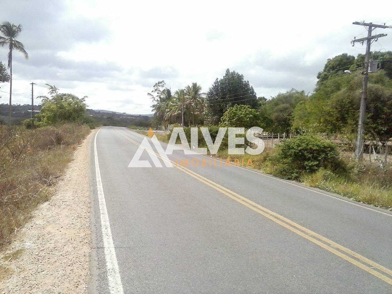 Terreno, 10000 m² - Foto 2